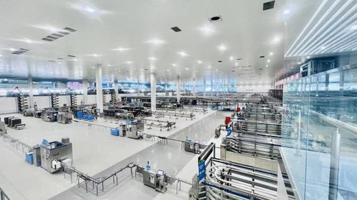 中國奶業進入新技術內卷時代 世界奶業大會揭示的五大新變革